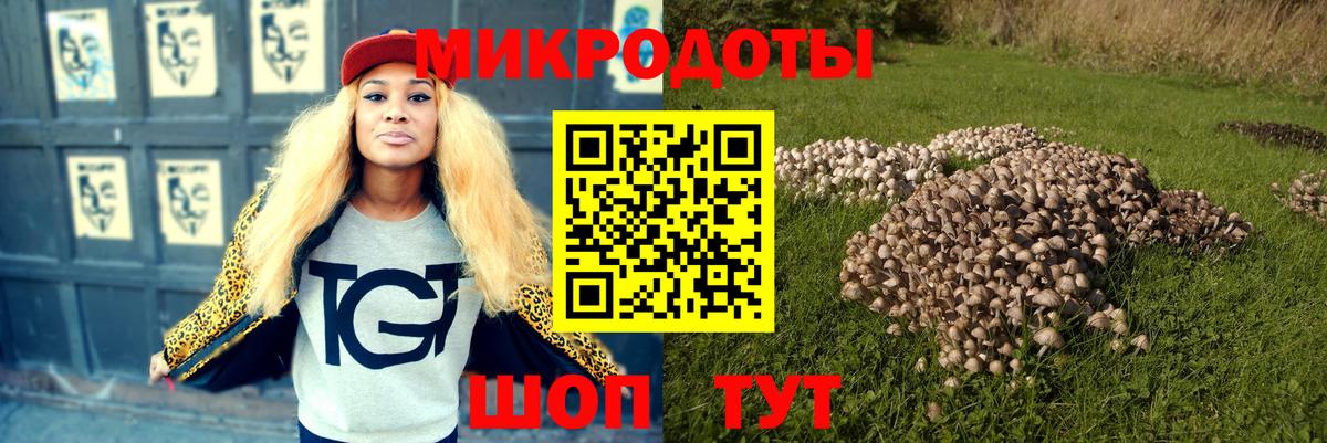 Петрозаводск  закладки  Вход с VPN  Галлюциногенные грибы Psilocybe 