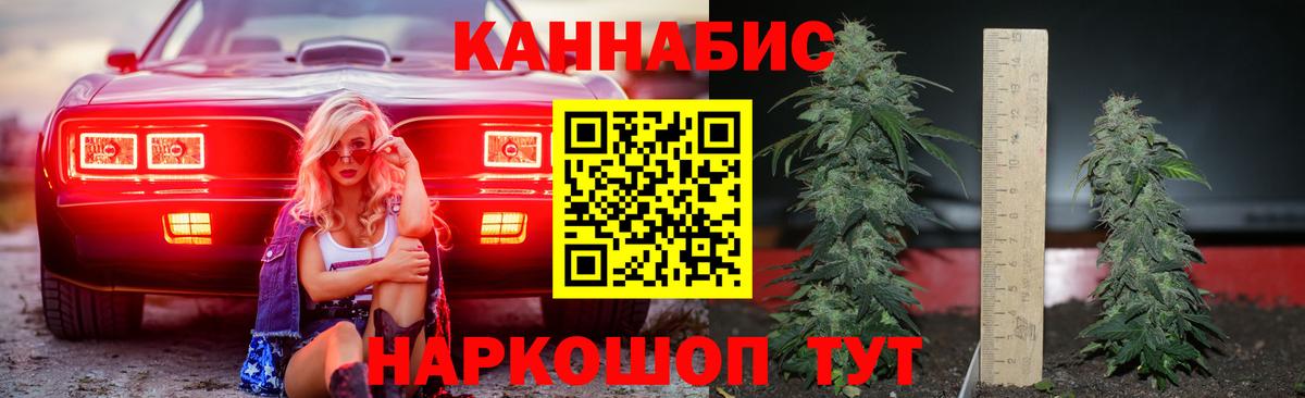 Бошки марихуана AK-47  Шишки марихуана план  Петрозаводск  Бошки марихуана MAZAR  Бошки марихуана MAZAR  Вход с VPN 
